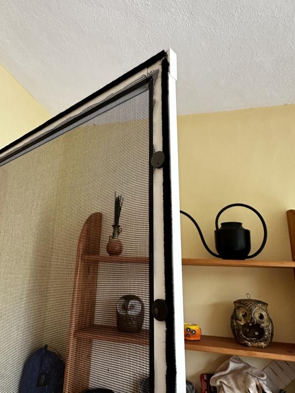 Revisione aperta modale 4 su 5