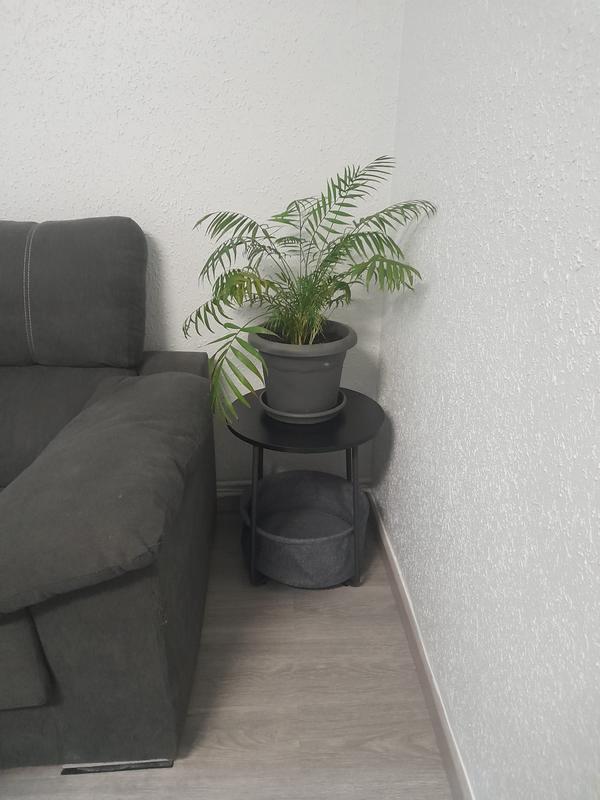 Abra o modal de avaliação 1 de 1