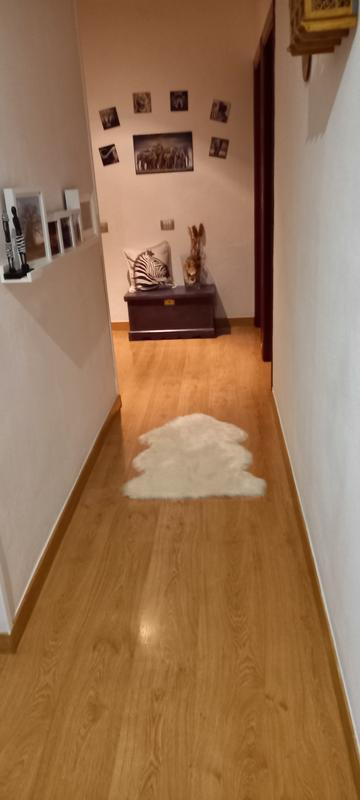 Revisione aperta modale 1 su 1