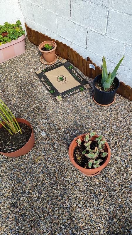 Abrir modal de revisión 1 de 1