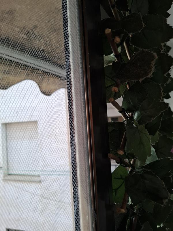 Abrir modal de revisión 1 de 1