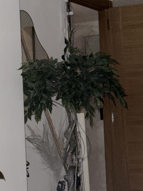 Abrir modal de revisión 1 de 1