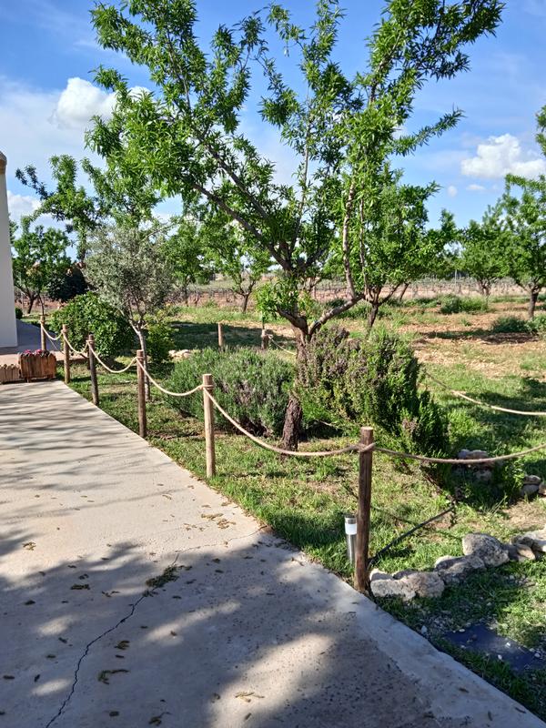 Abra o modal de avaliação 1 de 1