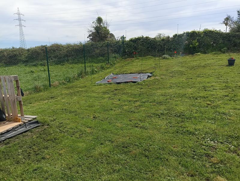 Abrir modal de revisión 1 de 2