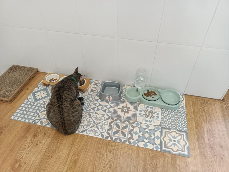 Abrir modal de revisión 1 de 2