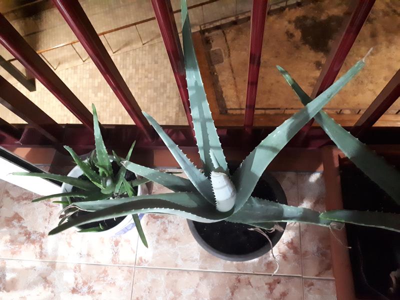 Abrir modal de revisión 3 de 5