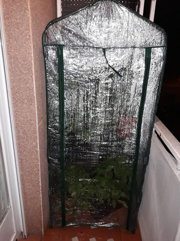 Abrir modal de revisión 1 de 2