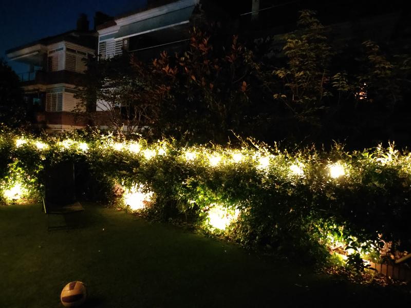 Abrir modal de revisión 1 de 1