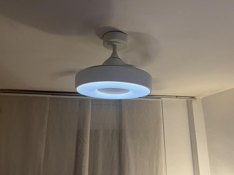 Revisione aperta modale 1 su 2