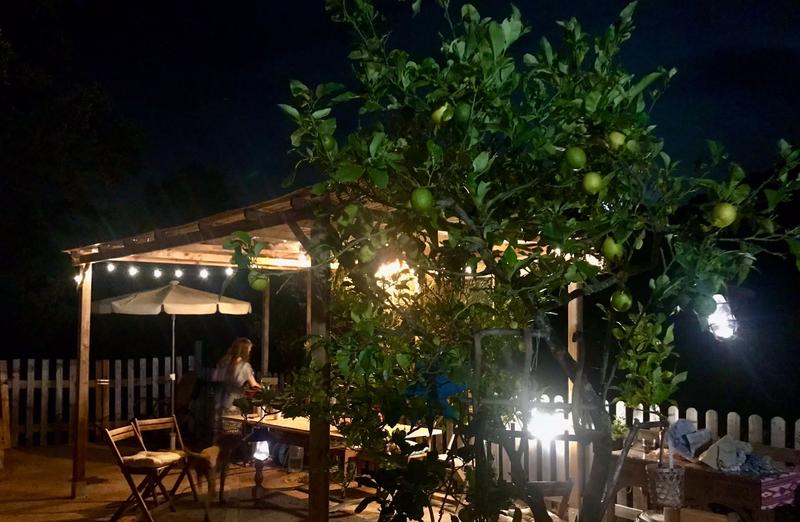 Abrir modal de revisión 1 de 1