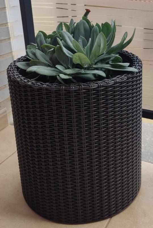 Abrir modal de revisión 1 de 1