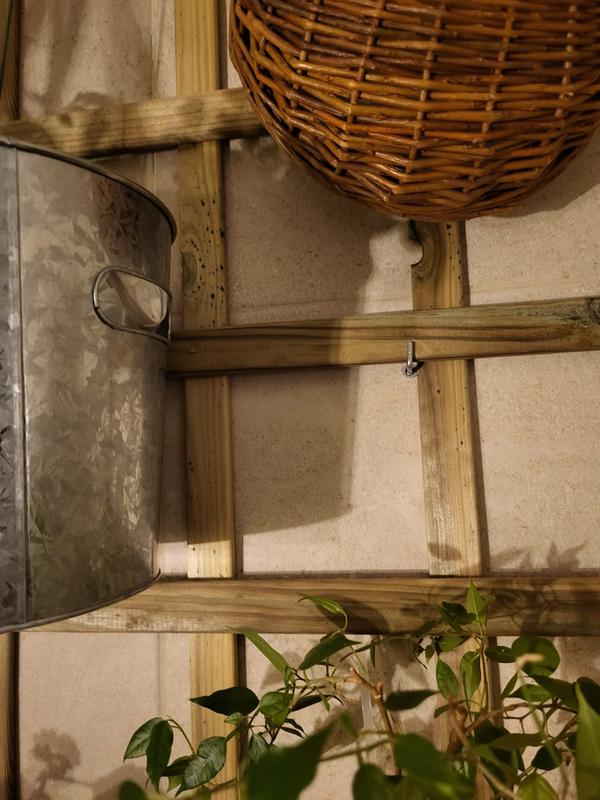 Abrir modal de revisión 2 de 2