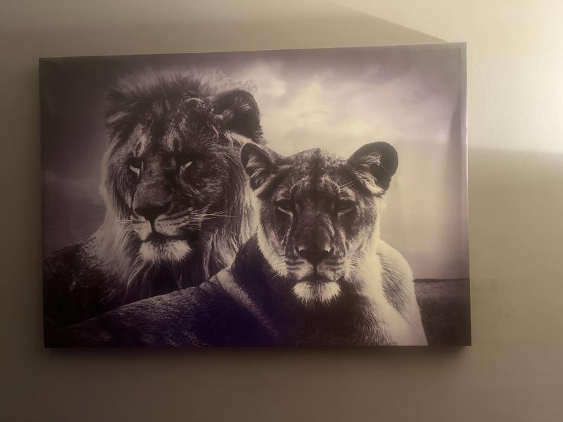 Abrir modal de revisión 1 de 1