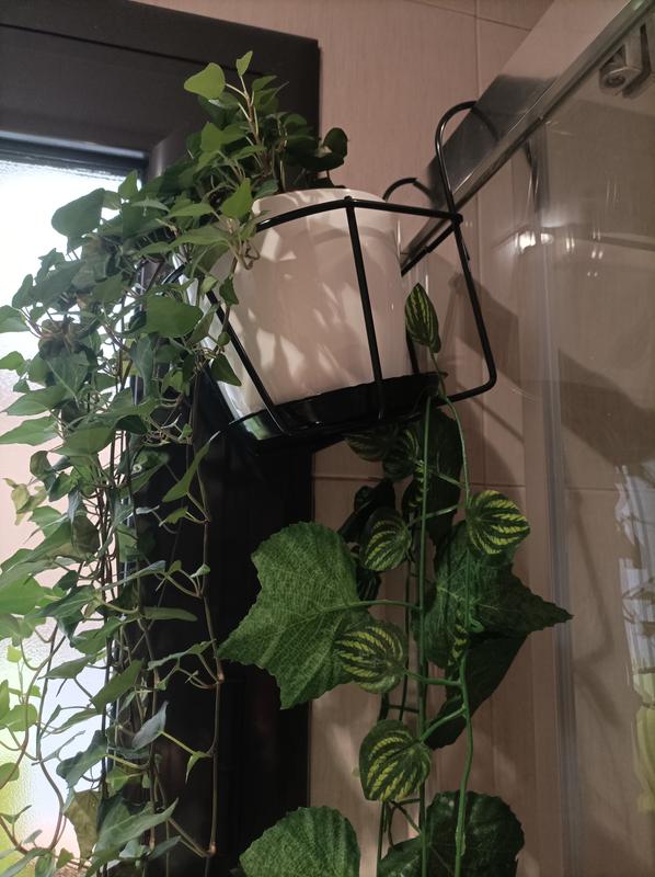 Abra o modal de avaliação 1 de 1