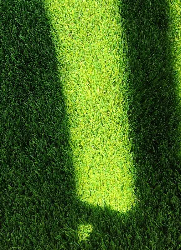 Abrir modal de revisión 2 de 2