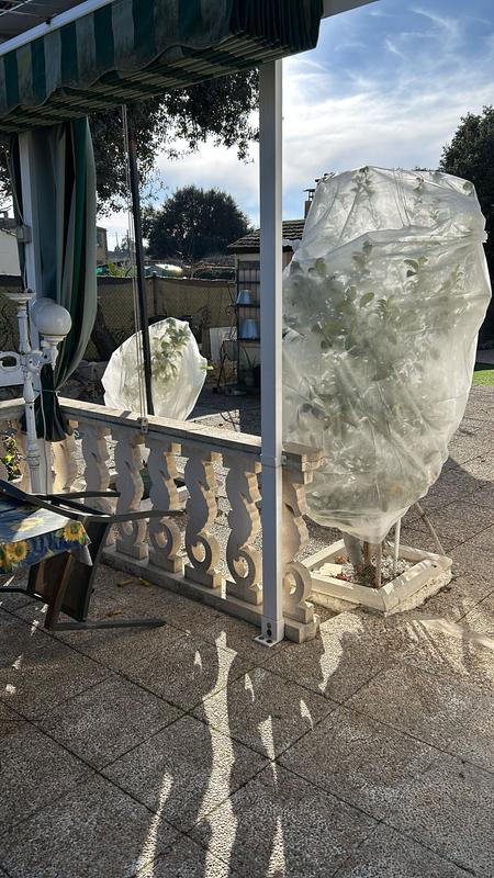 Abrir modal de revisión 1 de 1