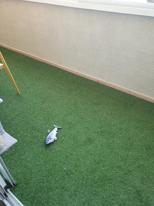 Abra o modal de avaliação 1 de 1