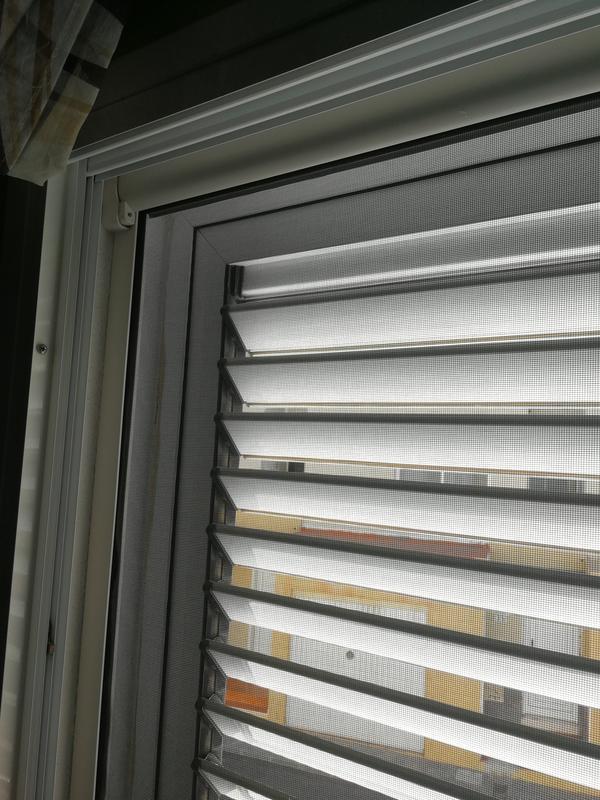 Abrir modal de revisión 4 de 5