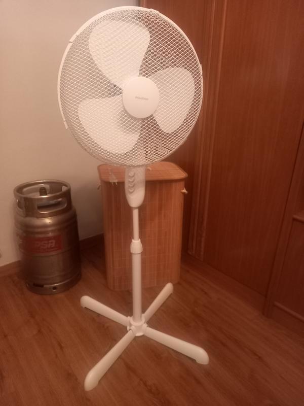 Abrir modal de revisión 1 de 1