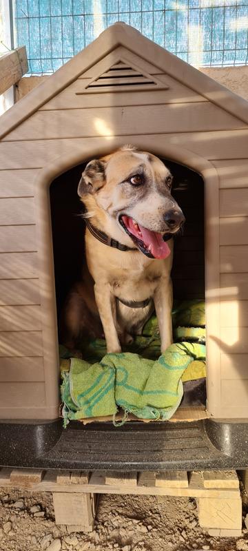 Abrir modal de revisión 1 de 1