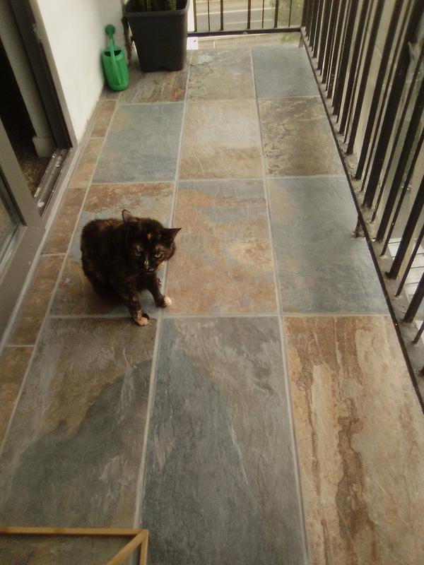 Abrir modal de revisión 1 de 1