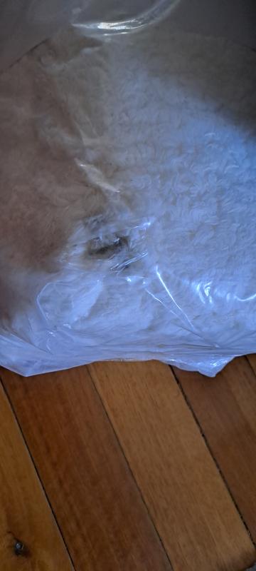 Abrir modal de revisión 1 de 1