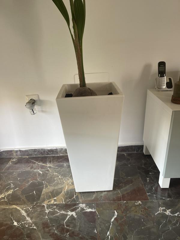 Abrir modal de revisión 1 de 1