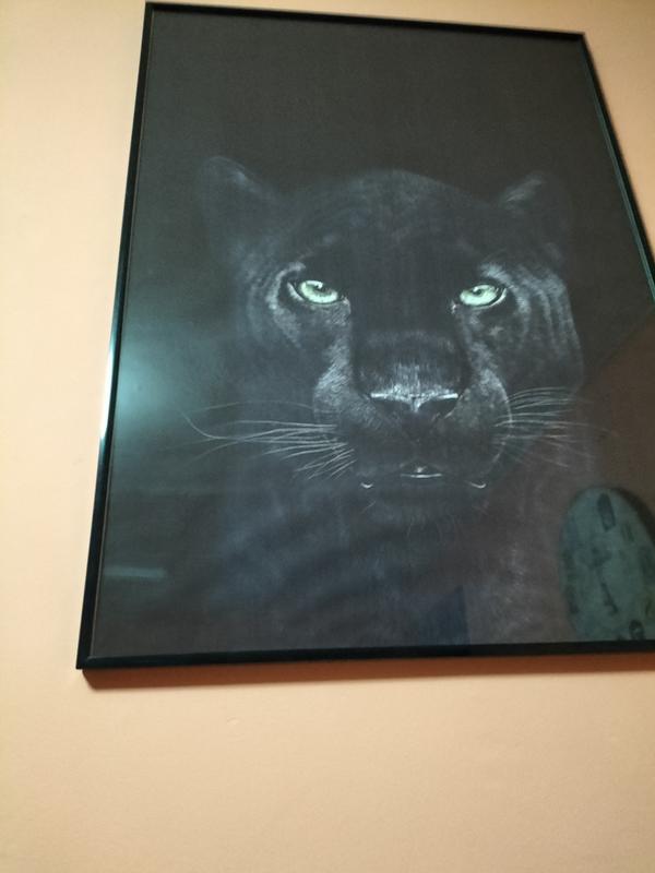 Abrir modal de revisión 2 de 2