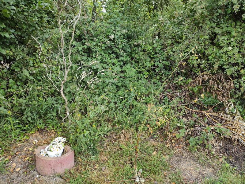 Ouvrir la fenêtre modale de l'avis 3 sur 5