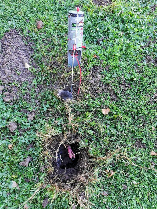 Ouvrir la fenêtre modale de l'avis 2 sur 2