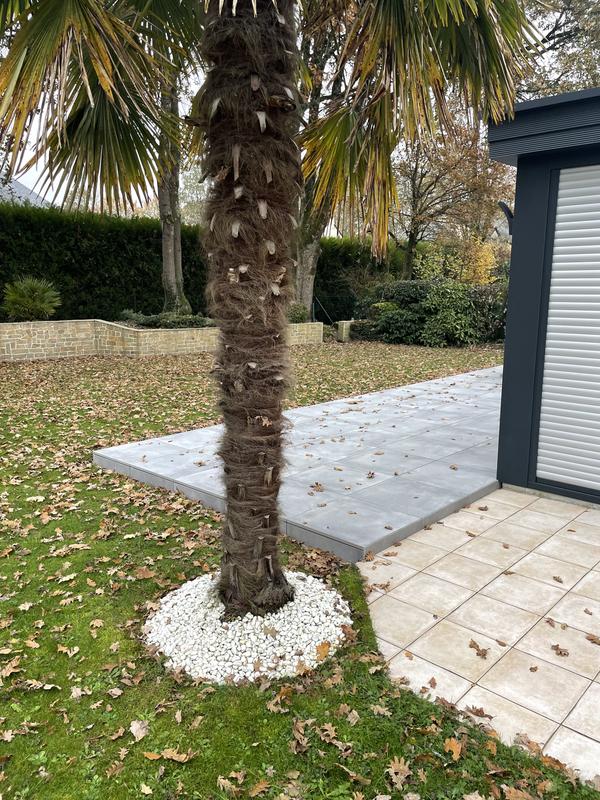 Ouvrir la fenêtre modale de l'avis 1 sur 1