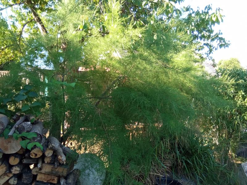 Ouvrir la fenêtre modale de l'avis 5 sur 6