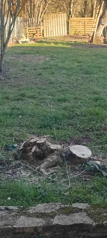 Ouvrir la fenêtre modale de l'avis 4 sur 4