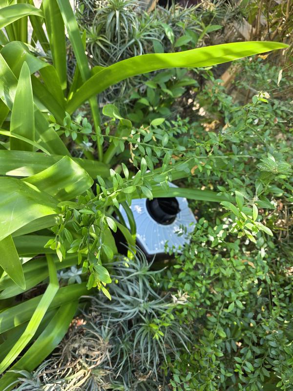 Ouvrir la fenêtre modale de l'avis 1 sur 1