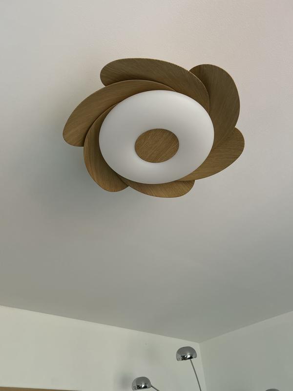 Ouvrir la fenêtre modale de l'avis 1 sur 1