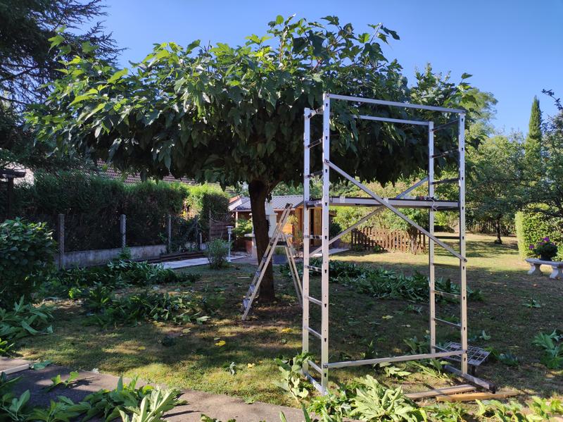 Ouvrir la fenêtre modale de l'avis 1 sur 1