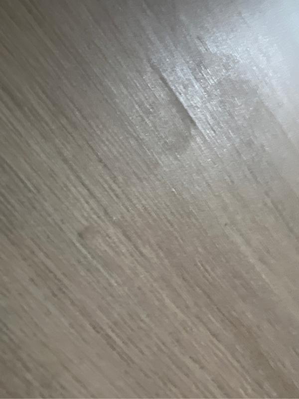 Revisione aperta modale 2 su 2