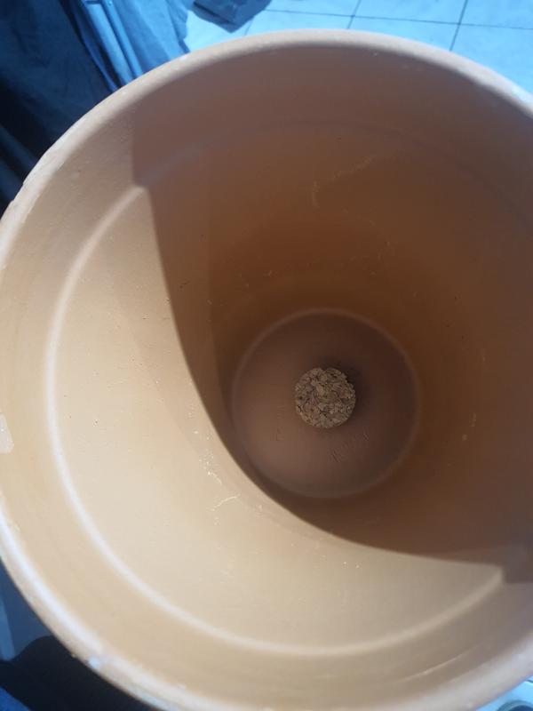 Ouvrir la fenêtre modale de l'avis 1 sur 1