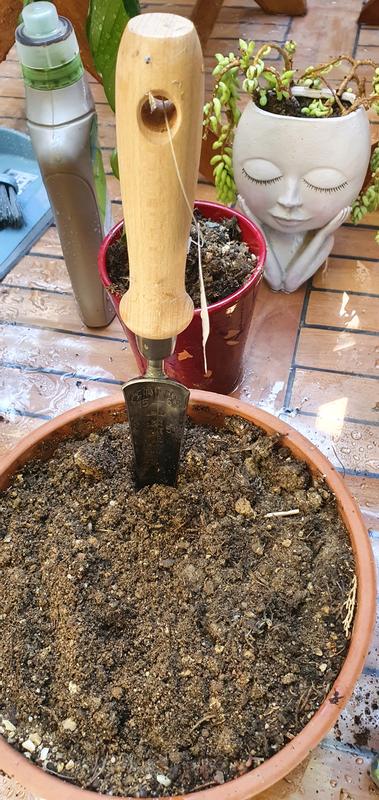 Ouvrir la fenêtre modale de l'avis 2 sur 4