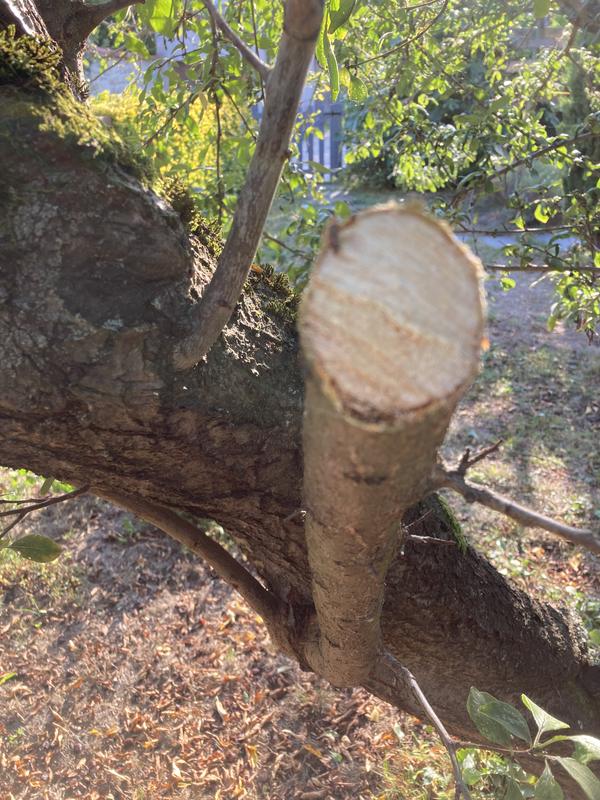 Ouvrir la fenêtre modale de l'avis 3 sur 4