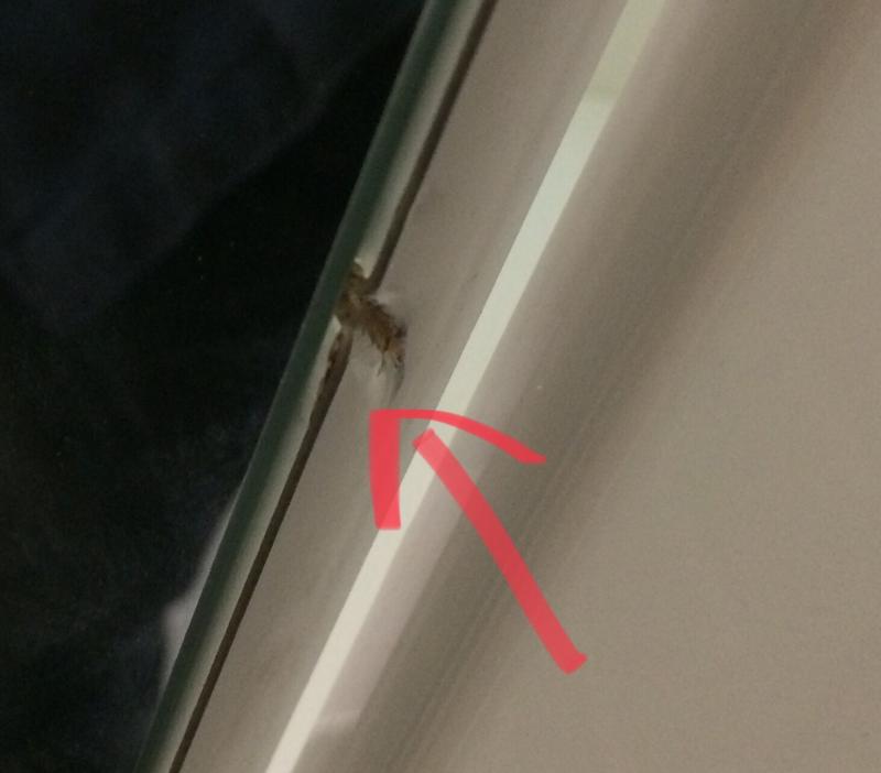 Ouvrir la fenêtre modale de l'avis 3 sur 3