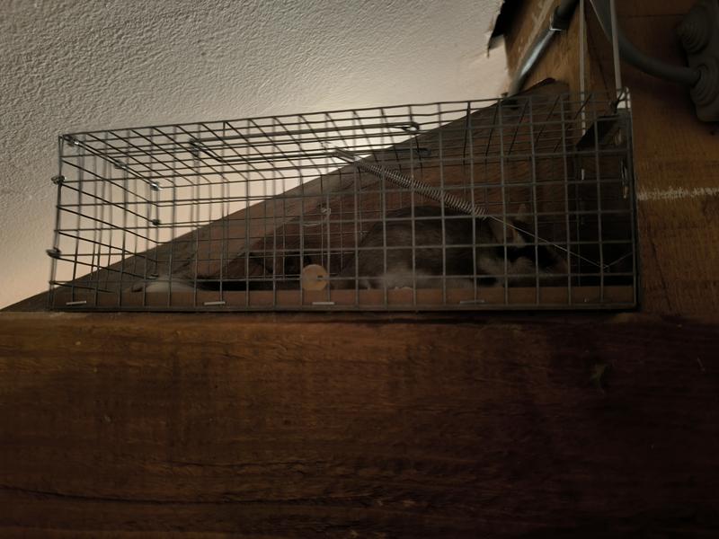 Ouvrir la fenêtre modale de l'avis 2 sur 2