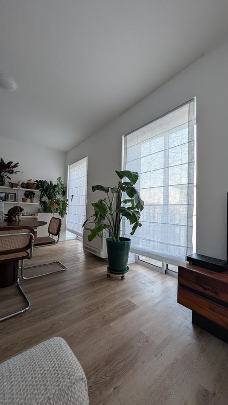 Ouvrir la fenêtre modale de l'avis 1 sur 1