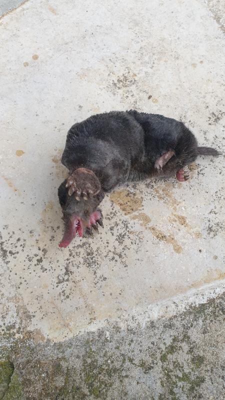 Ouvrir la fenêtre modale de l'avis 1 sur 1