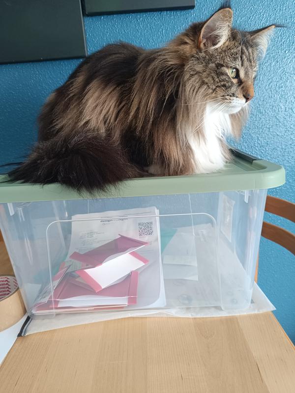 Abra o modal de avaliação 1 de 1