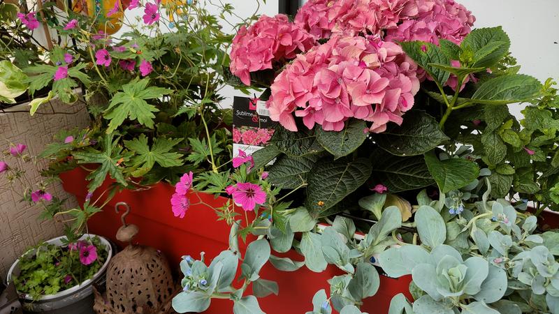 Ouvrir la fenêtre modale de l'avis 1 sur 2