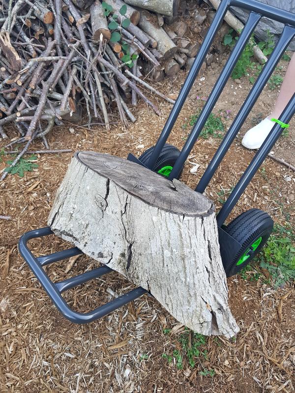 Revisione aperta modale 1 su 4