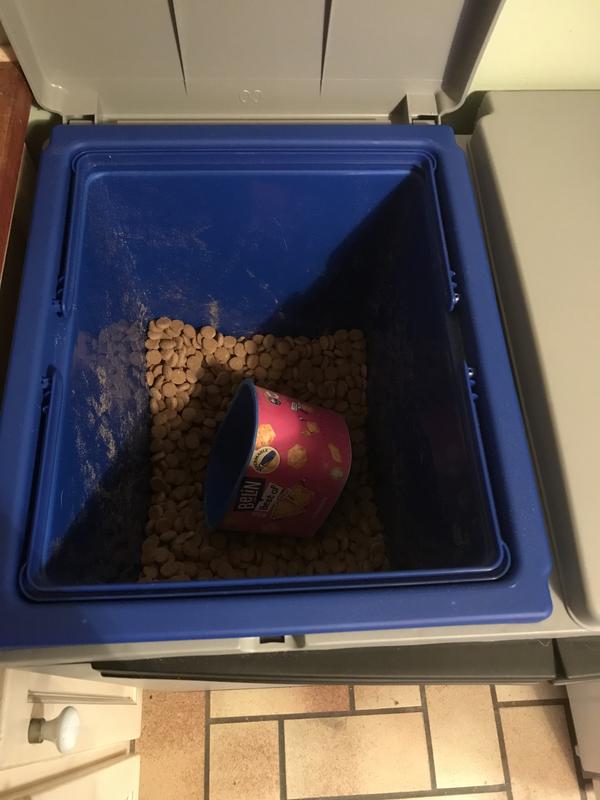 Revisione aperta modale 1 su 2