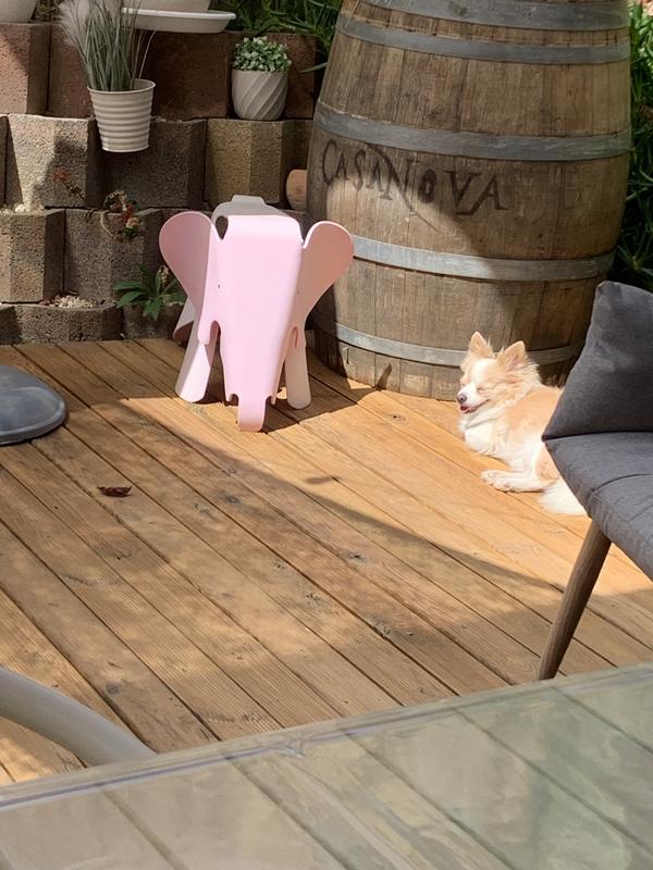 Ouvrir la fenêtre modale de l'avis 1 sur 1