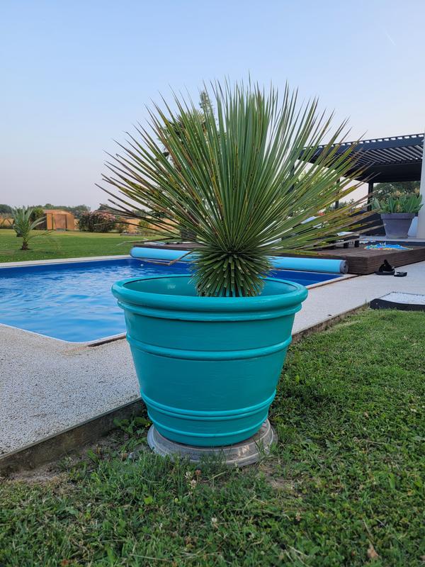 Ouvrir la fenêtre modale de l'avis 1 sur 1